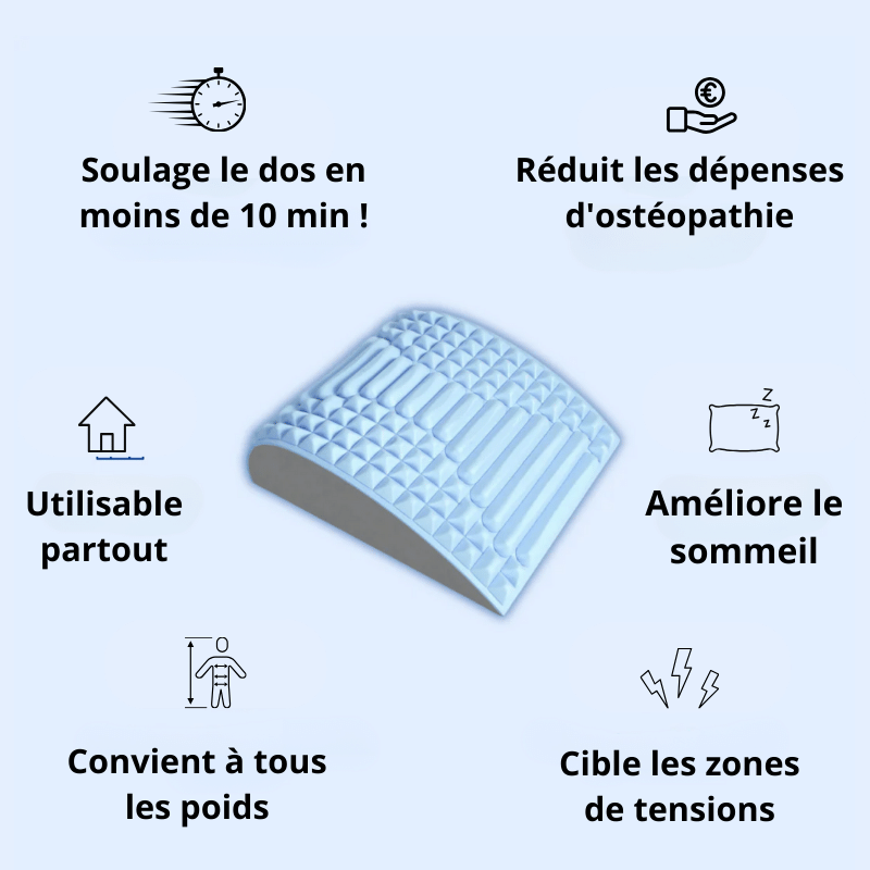 FlexZen Back and Neck Cushion